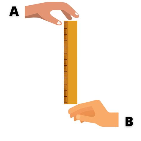 ruler drop test equipment